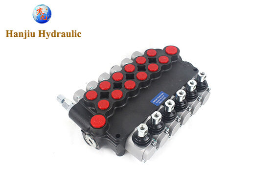 دریچه های کنترل تک بلوک سری P80، دستگیرهایی با کنترل بهار، پورت های BSPP